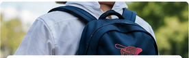 Personalizzazioni: Scuole